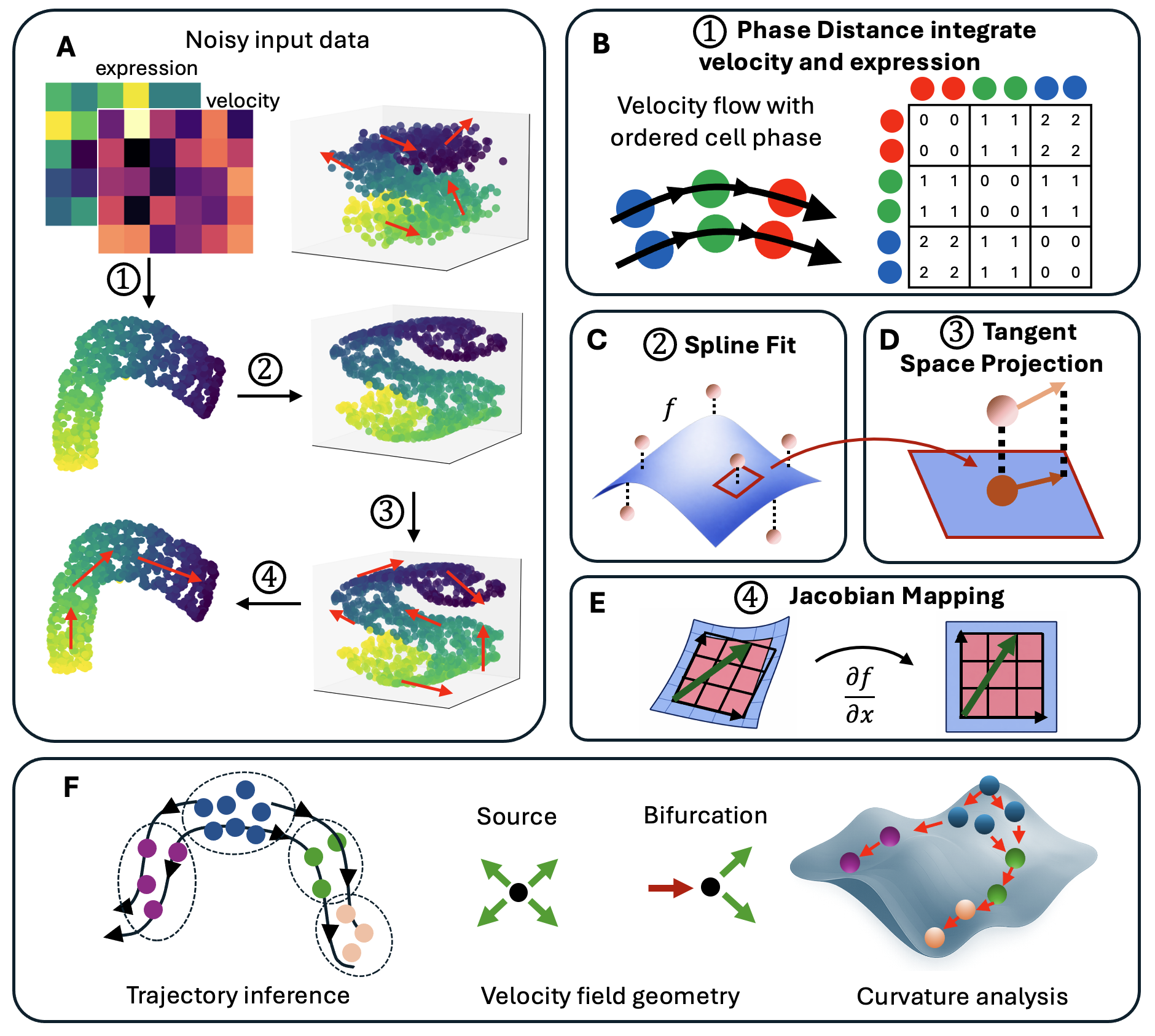 FlowMap overview: single-cell expression and velocity are embedded, projected, and analyzed geometrically